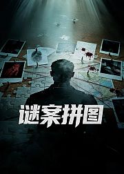 谜案拼图