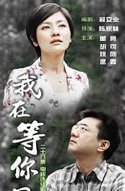 我在等你回家