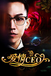 爱情CEO