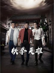 铁拳英雄-粤语版