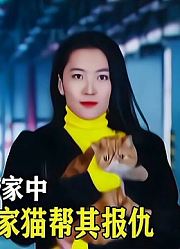 女人浴后惨死家中，案犯机关算尽，不料家猫帮其报仇悬疑