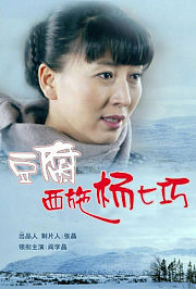 豆腐西施杨七巧