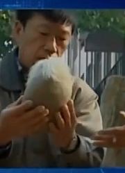 奇石爱好者淘到长满白发的石头那跟人的头发一样竟还会生长