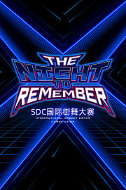 TheNightToRememberSDC国际街舞大赛