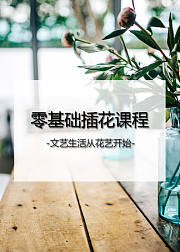 零基础学插花