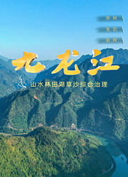 九龙江