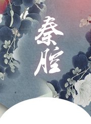 秦腔木偶折子戏-白虎堂