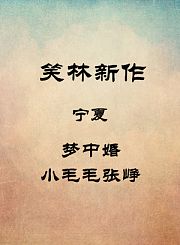 宁夏-梦中婚-小毛毛张峥