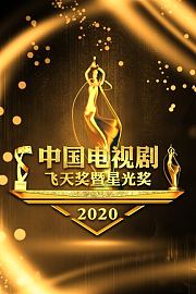 中国电视剧飞天奖暨星光奖2020
