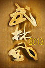 武林风2013
