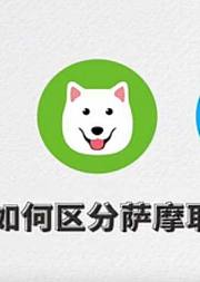 果壳小学堂