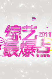 综艺最爆点2011