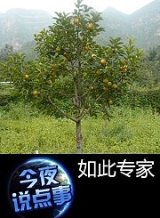 如此专家1030