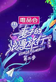 妻子的浪漫旅行3VIP加长版