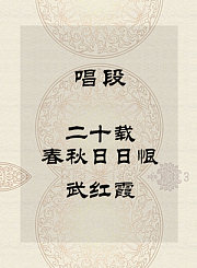 秦腔唱段-二十载春秋日日恨-武红霞