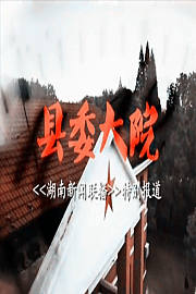 《湖南新闻联播》特别节目《县委大院》
