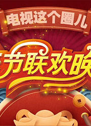 电视这个圈儿小春晚