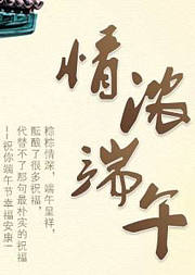别样端午与粽不同