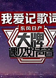 我爱记歌词：大牌明星和中国好声音学员，强强联手，演绎经典歌曲