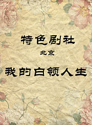 我的白领人生