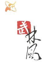 武林风2015