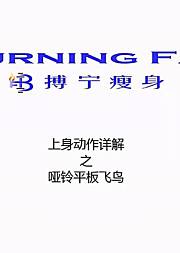 中级家庭哑铃塑形计划