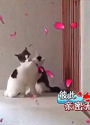 男子捡到高中生的手机，却发现机主并不是高中生，只为配合母亲