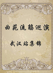武汉站集锦