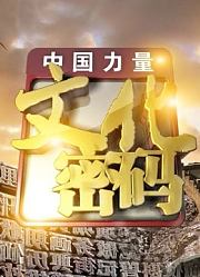 文化密码精彩片段合集