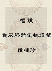 秦腔唱段-我双膝跪倒把娘望-段桂珍