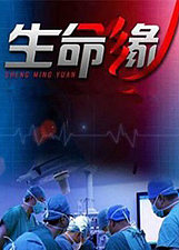 生命缘第3季