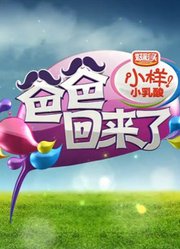 爸爸回来了第1季精彩片段