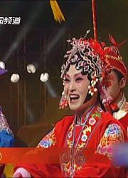 梨园春：豫剧名家张春玲演唱《程咬金照镜子》