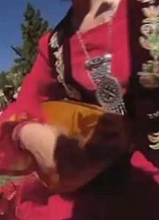 这里盛产水中霸王，这里的鱼迅猛无比，它是就是白斑狗鱼