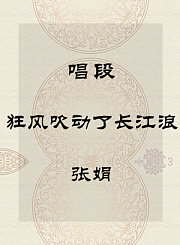秦腔唱段-狂风吹动了长江浪-张娟