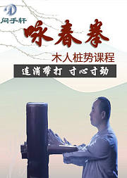 咏春拳-木人桩势系列