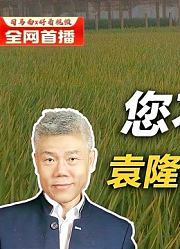司马南：您不知道的袁隆平爷爷的趣事