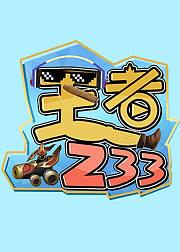王者233