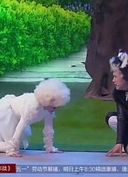 这真是蔡明吗？为艺术献身当猫猫，这也太拼了！