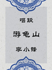 秦腔唱段-游龟山-李小锋