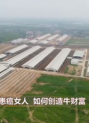 想要养奶牛比别人赚得多，在饲料上也要下足了功夫