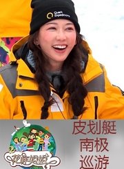 猎豹家族和我