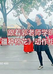 跟着郭老师学跳新疆舞：《新疆种棉花》动作组合分解完结篇！