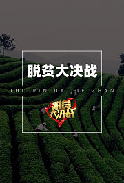 脱贫大决战第5季