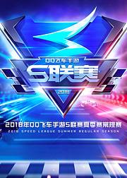 2018QQ飞车手游S联赛夏季赛