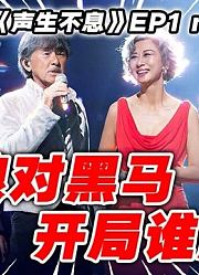 导演辣评【声生不息】
