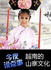 越南的山寨文化0609