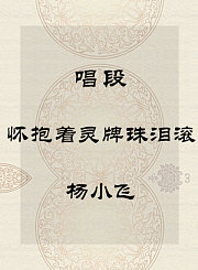 秦腔唱段-怀抱着灵牌珠泪滚-杨小飞