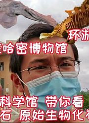 穷游小伙环游中国在哈密博物馆带你看原始生物化石，回到恐龙时代