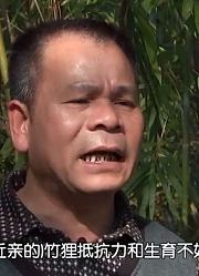 凡人大爱：外地竹狸在本地完全适应不了，李广升便寻找各种办法